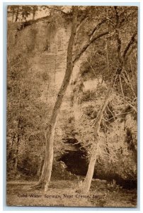 c1910's Cold Water Springs Grove Tourists Spot Cresco Iowa IA Antique Postcard