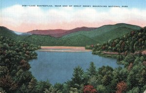 Lake Santeetlah, Great Smokey Mountains National Park , Tenn. Postcard 2T5-58