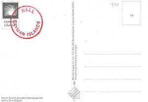 Grouper Fish, Dive Master Fish Unused 