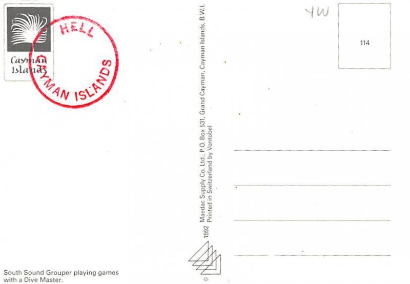 Grouper Fish, Dive Master Fish Unused 