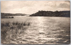 Lake View Overlooking the Montain Trees Scenic Water Sightseeing Postcard