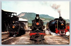 Trains~South American Steam Lineup On Donna Teresa Cristina Brazil~Vintage PC