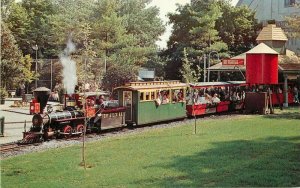 Lockhaven Pennsylvania Buffalo Ranch Restaurant Roadside Postcard 21-8613