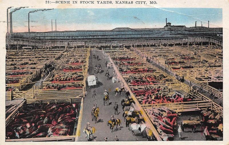 Kansas City Missouri 1934 Postcard Scene In Stock Yards