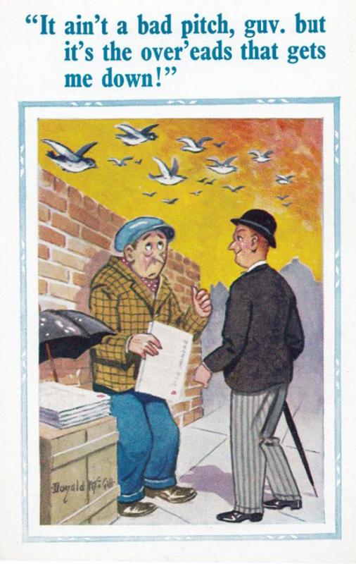 Newspaper Vendor Seagulls Dropping Poos Turds Comic Humour Postcard