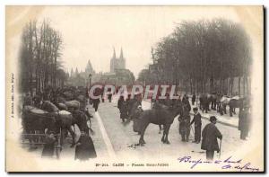 Old Postcard Horse Riding Equestrian Caen Fosses Saint-Julien