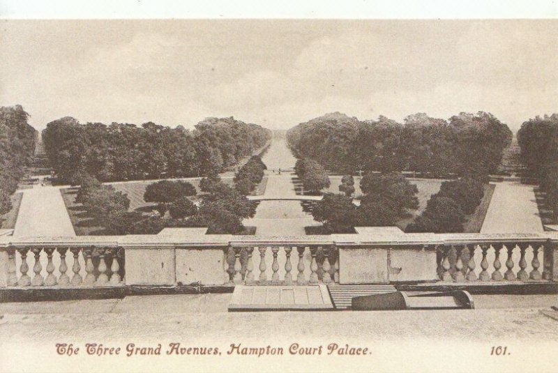 Middlesex Postcard - The Three Grand Avenues - Hampton Court Palace  Ref TZ10688