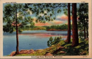 Hayward Wisconsin Greetings From Postcard