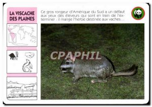 The map vizcacha Des Plaines This large rodent from South & # 39Amerique WWF