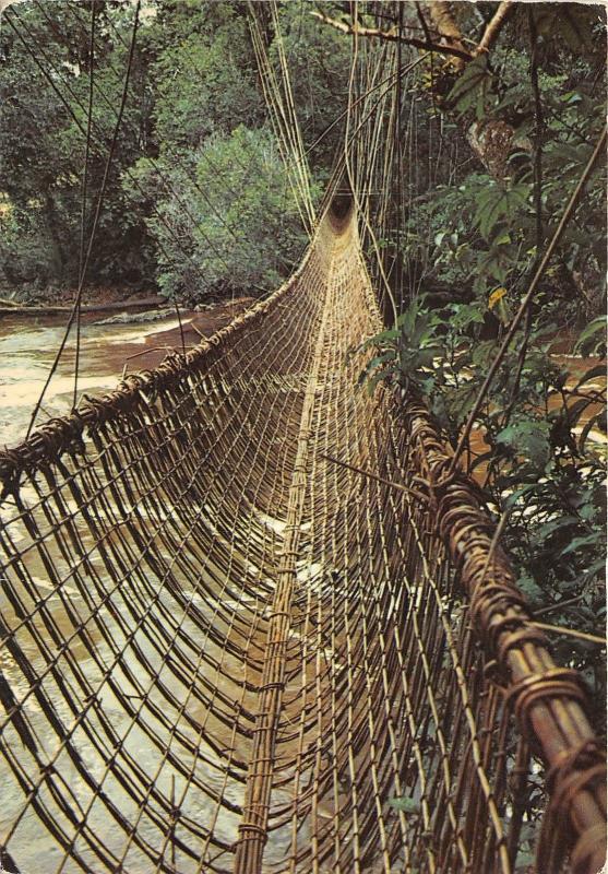 BR28152 Gabon le pont de lianes de pibara
