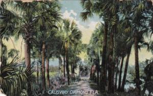 Florida Ormond The Causeway 1913