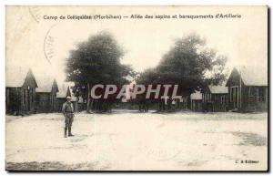 Camp Coetquidan Old Postcard Allee firs and barracks d & # 39artillerie