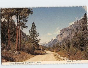 Postcard Selway-Bitterroot Wilderness Area USA