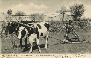 PC CPA SOUTH AFRICA, A NATIVE LEDGE, VINTAGE POSTCARD (b15719)