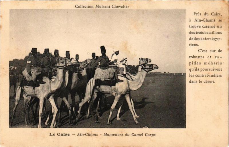 CPA AK Egypte LE CAIRE - Ain-Chams - Manoeuvre du Camel Corps (212913)