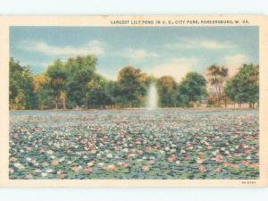 Unused Linen LARGEST LILY POND IN USA Parkersburg West Virginia WV c7764@