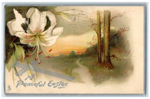 1910 Easter Lily Flowers Holy Cross Tuck's Columbus Georgia GA Antique Postcard