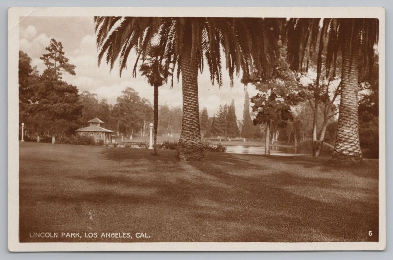 Real Photo Postcard~Lincoln Park In Los Angeles CA~Palm Trees~RPPC