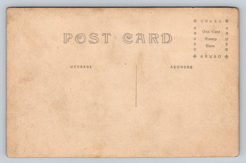 RPPC   A Florida Team   Oxen Pulling Cart  Postcard