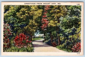 1950-60's GREETINGS FROM MT MOUNT AIRY MARYLAND MD VINTAGE LINEN POSTCARD 12759