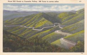 Priest Hill Grade to Yosemite Valley - California - Linen