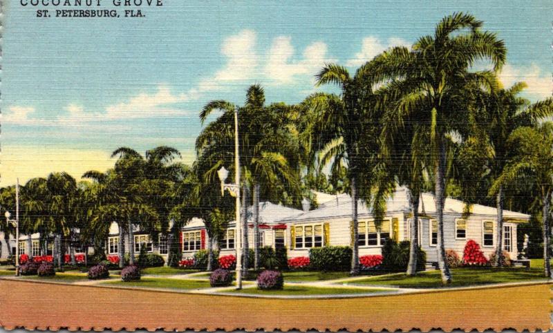 Florida St Petersburg Cocoanut Grove Motor Hotel Curteich