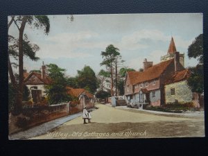 Surrey WITLEY Church Lane Old Cottages & Church c1905 Postcard by Frith