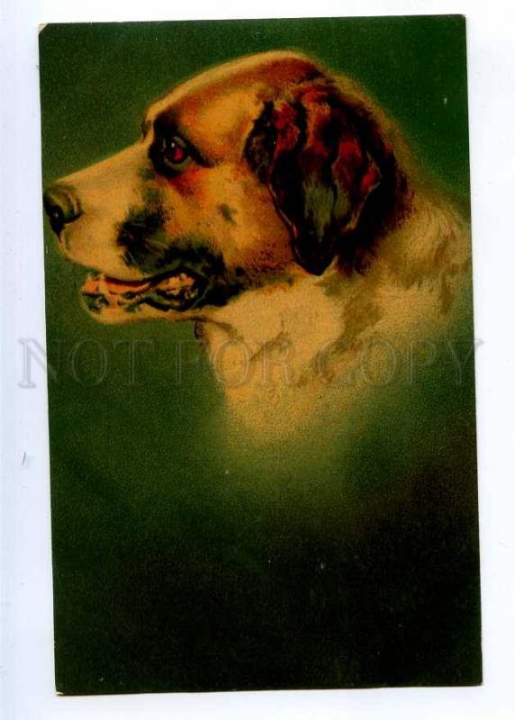 189588 SAINT BERNARD St. Bernard Portrait Vintage WENAU PC