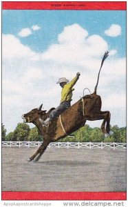 Cowboy Steer Riding