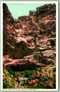 Dripping Springs Grand Canyon Arizona UNP Detroit Publishing DB Postcard H12