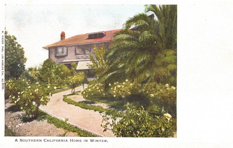 Postcard California Los Angeles Typical Residence in Winter Undivided Back Era 