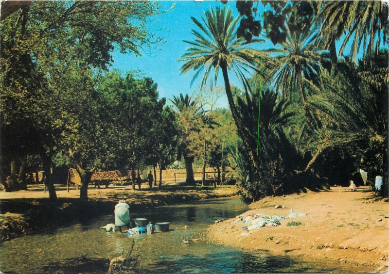 Morocco Postcard Rabat Oujda la Palmerie de Sidi Yahia women doing laundry