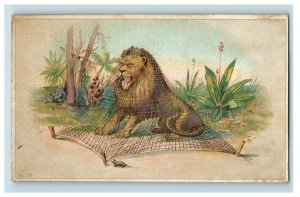 1870's-80's Edward Rose Custom Tailors Chicago Lion MouseTrade Card F30