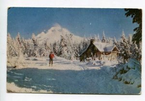 3158497 OREGON Government Camp MT.HOOD Skiing OLD PC