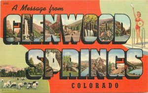 Agriculture Recreation Glenwood Springs Colorado large Teich Postcard 7974