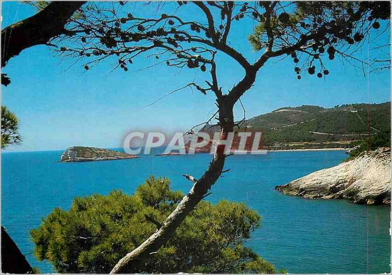 Postcard Modern Gargano Vieste