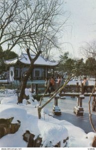 SHANGHAI , China , 1970-80s ; Snow in the Gu Yi Garden