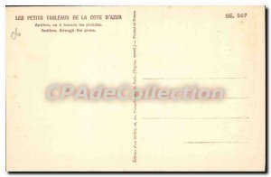 Postcard Old Antibes Vu Through The Pinedes