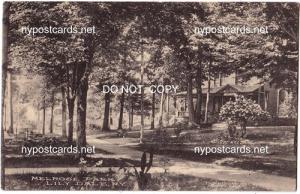 Melrose Park, Lily Dale NY