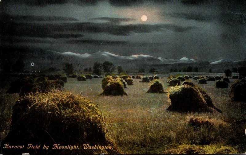Washington Harvest Field By Moonlight
