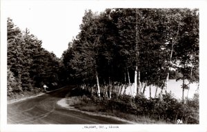 RPPC Real Photo Postcard Ontario Road Leading into Kaladar Lake RARE 1940s K73