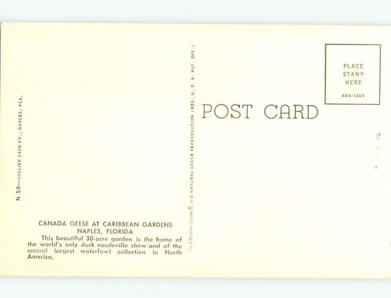 Pre-1980 PARK SCENE Naples Florida FL hk7077