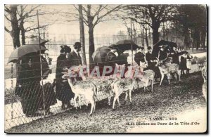 Postcard Old Lyon Les Biches at Parc de la Tete Gold