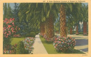 California Palm Covered Avenue of Homes 1947 Linen Postcard