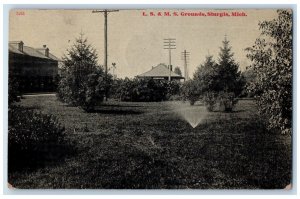 1910 Scenic View LS & MS Grounds Trees Sturgis Michigan Vintage Antique Postcard