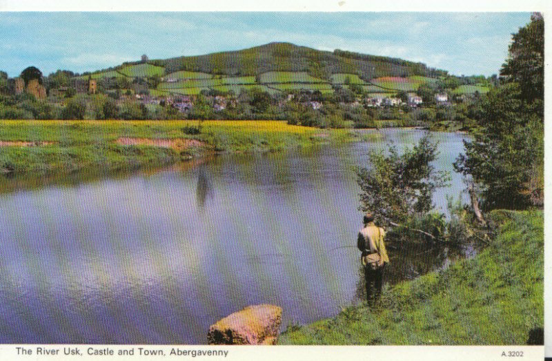 Wales Postcard - The River Usk - Castle and Town - Abergavenny - Ref TZ5971