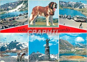Postcard Modern Colle del Gran S Bernardo
