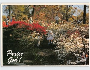 Postcard Praise God Prayer Color by Storer Garden of Flower Scene