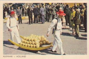 Netherlands Alkmaar Cheese Market