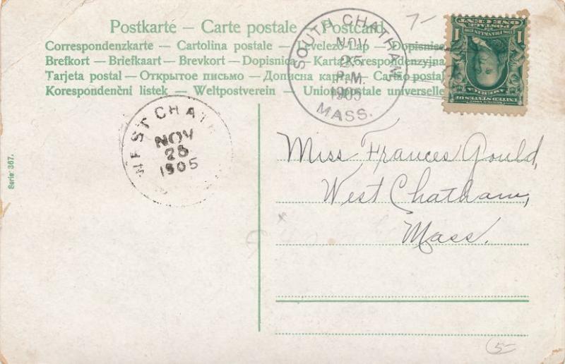 Multiple Babies Greetings - Fancy Outdoor Dinner Party - pm 1905 - UDB